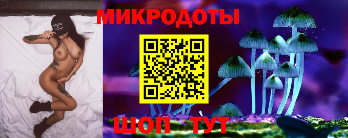 Галлюциногенные грибы Cubensis  Вход с VPN  Ульяновск  Галлюциногенные грибы Psilocybe 
